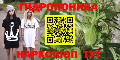 крисы Кинель