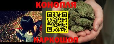 тгк Канаш