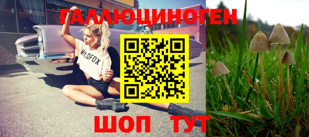 Галлюциногенные грибы Magic Shrooms  Вход с VPN  Котлас 